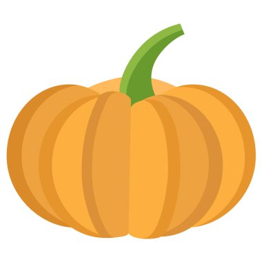 Beyaz arkaplanda izole edilmiş kabağın basit vektör simgesi