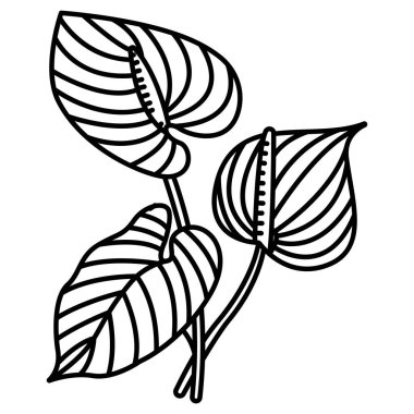 Anthurium çiçeği, web simgesi vektör illüstrasyonu