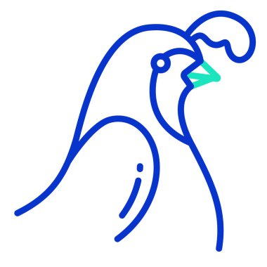 Bir bıldırcın temsili