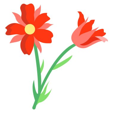 Çiçek şeklinde güzel çiçekler.