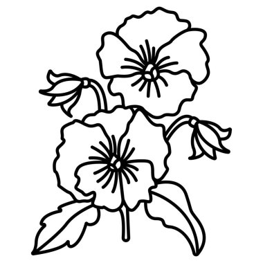 Vadinin çiçeği, vektör illüstrasyonu