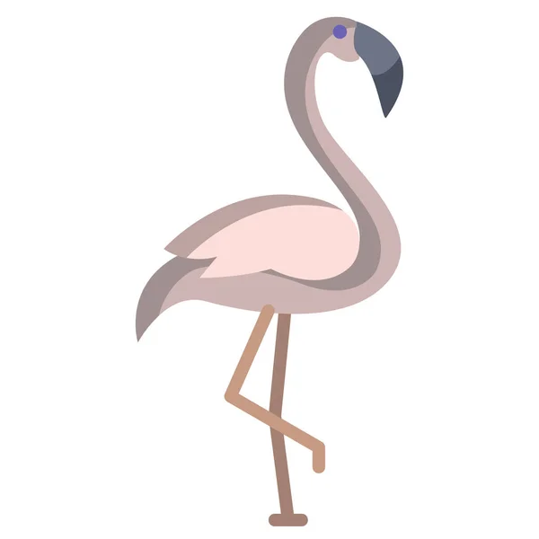 Flamingo矢量图解背景 — 图库矢量图片