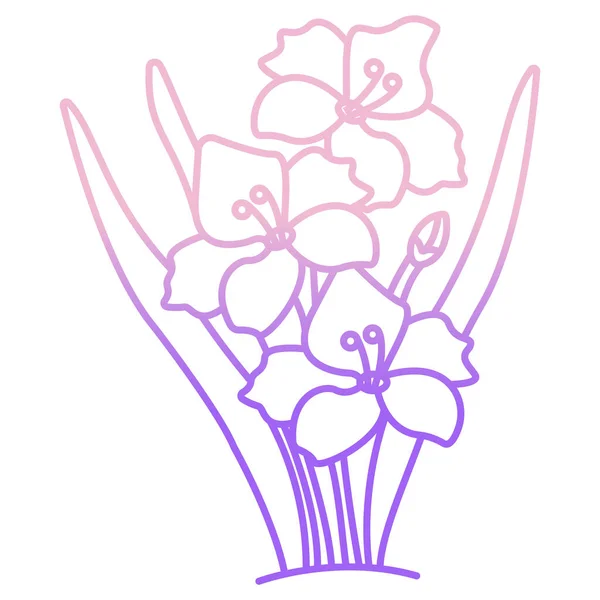Ikona Gladiolus Izolovaná Čistém Pozadí — Stockový vektor