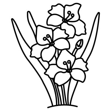 Gladiolus simgesi temiz arkaplanda izole edildi