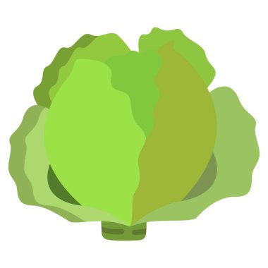 Lahana. Web simgesi basit illüstrasyon