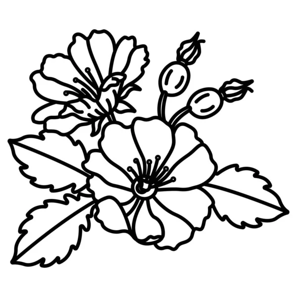 Векторна Ілюстрація Квітки — стоковий вектор