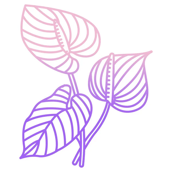 Anthurium Bloem Web Icoon Vector Illustratie — Stockvector