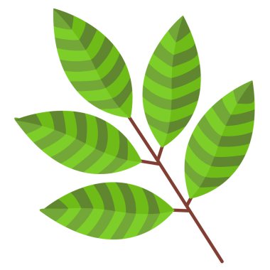 Yaprak simgesi, vektör illüstrasyonu 