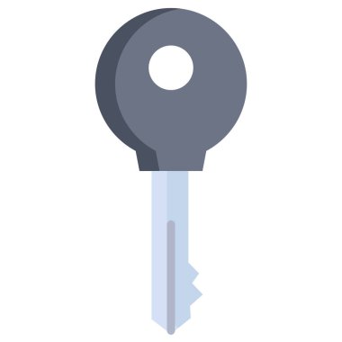 Anahtar. Web simgesi basit illüstrasyon 