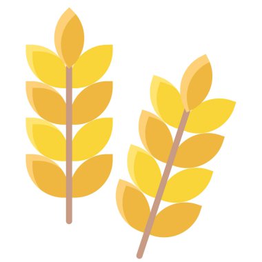 Buğday ikonu. Web için bitki vektör simgelerinin düz çizimi