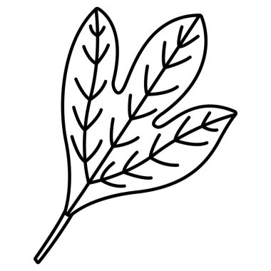Sassafras ikon vektör çizimi tasarımı