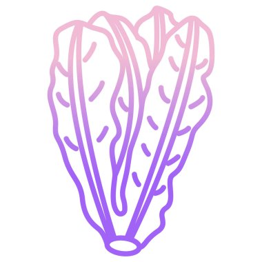 Taze pancar. Web simgesi