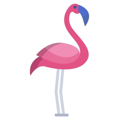 Flamingo vektör resimleme arkaplanı 