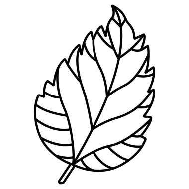 Yaprak simgesi, vektör illüstrasyonu 