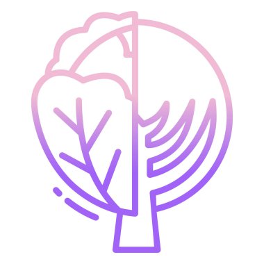 Lahana. Web simgesi basit illüstrasyon