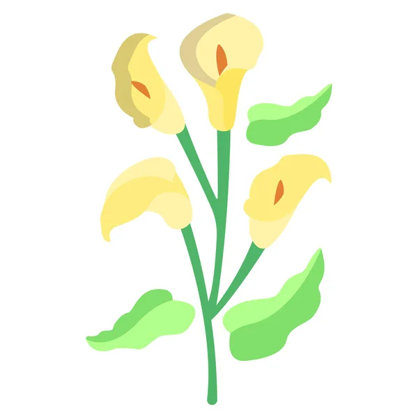 Flor Lirio Calla Icono Planta Vector Ilustración Diseño Gráfico — Archivo Imágenes Vectoriales