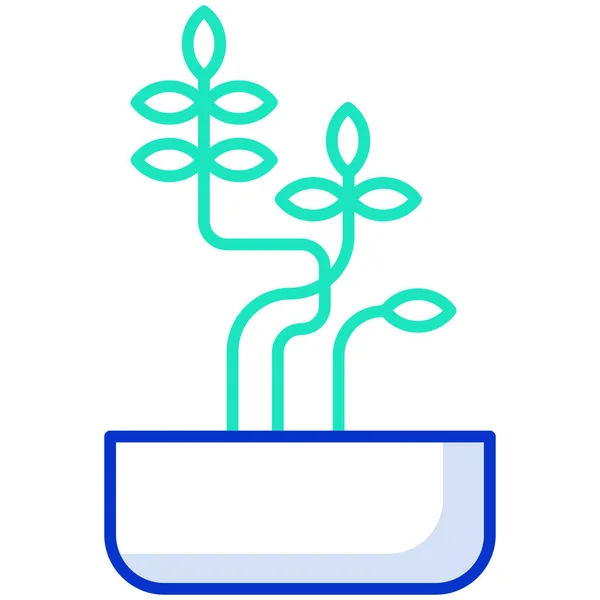 Vetor Simples Sophora Ícone Planta Fundo Branco — Vetor de Stock