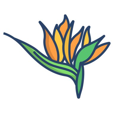 Basit vektör simgesi, Strelitzia illüstrasyonu