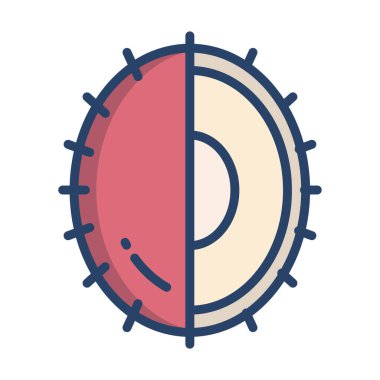 Rambutan simge vektör illüstrasyonu 