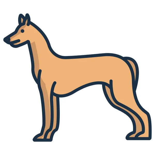 Векторная Иллюстрация Собаки Фараона Хаунда — стоковый вектор