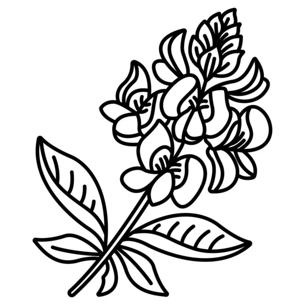 Çiçeksel Tropikal Çiçek Süsleme Vektör Çizimi — Stok Vektör