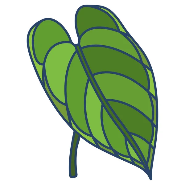 Anthurium Flower Web Icon Vector Illustration — Stock Vector