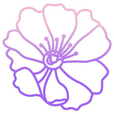 pembe yapraklı mor çiçek, beyaz arka planda izole edilmiş.