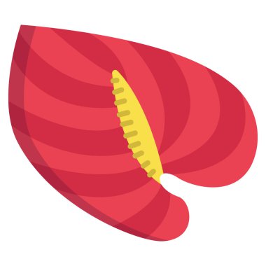 Anthurium çiçeği, web simgesi vektör illüstrasyonu