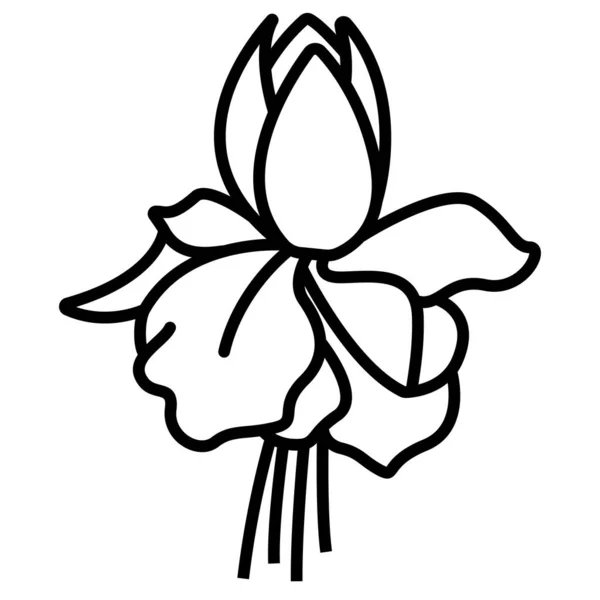 Vektor Fuchsia Blume Linie Illustration — Stockvektor