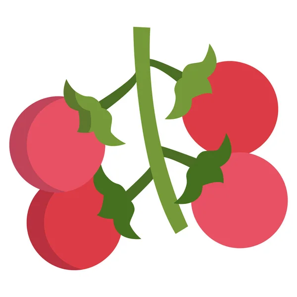 Icona Web Tomatos Semplice Illustrazione — Vettoriale Stock