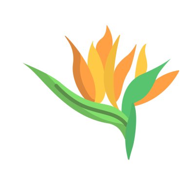 Basit vektör simgesi, Strelitzia illüstrasyonu