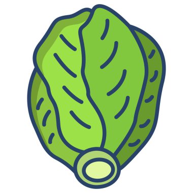 Taze turp. vektör illüstrasyonu