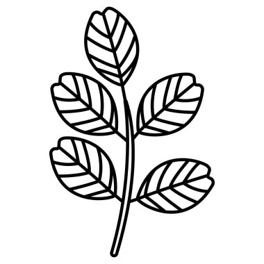 Yaprak simgesi, vektör illüstrasyonu