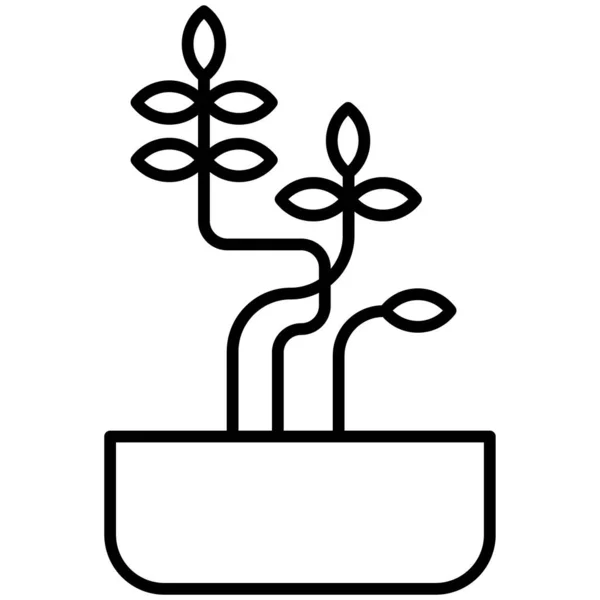 Vector Simple Sophora Planta Icono Sobre Fondo Blanco — Archivo Imágenes Vectoriales