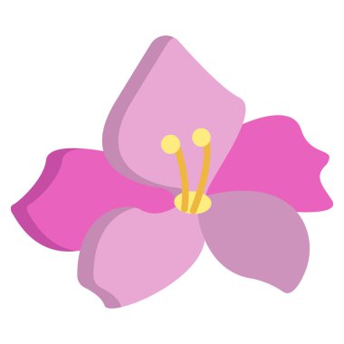 Gladiolus simgesi temiz arkaplanda izole edildi