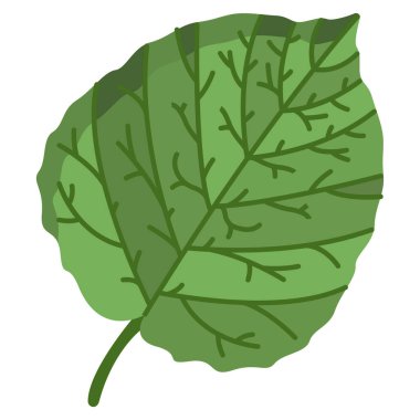Yaprak simgesi, vektör illüstrasyonu