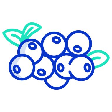 üzüm ikonu vektör illüstrasyonu