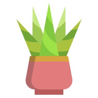 Beyaz arkaplanda izole edilmiş kaktüsün vektör simgesi