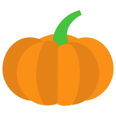 Beyaz arkaplanda izole edilmiş kabağın basit vektör simgesi