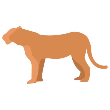 Kaplan hayvan basit vektör illüstrasyonu