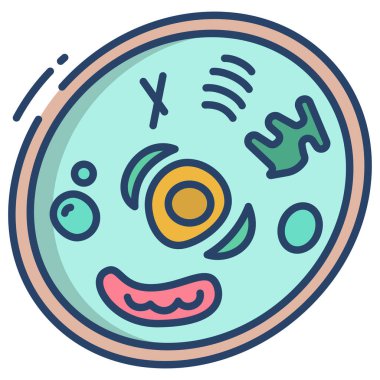 Basit vektör simgesi, Hayvan hücresinin çizimi