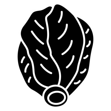 Taze turp. vektör illüstrasyonu