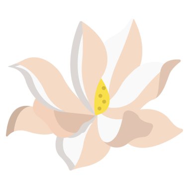 güzel zambak çiçeği, vektör illüstrasyonu