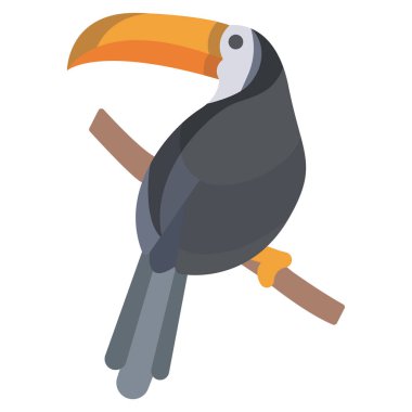 Toucan basit simgesi, vektör illüstrasyonu