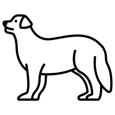 Bernese Dağ Köpeği 'nin basit bir ikonu.