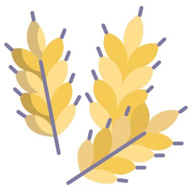 Basit vektör simgesi, buğday kulaklarının çizimi