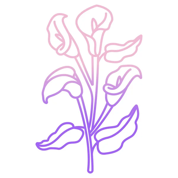 Калла Лилия Цветок Цветок Иконка Векторные Иллюстрации Графический Дизайн — стоковый вектор