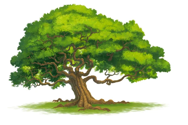 Tree isolate illustration — Stock Photo, Image