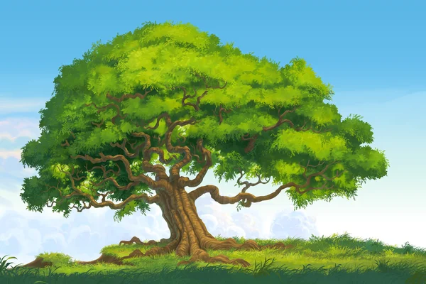 Albero isolato illustrazione — Foto Stock