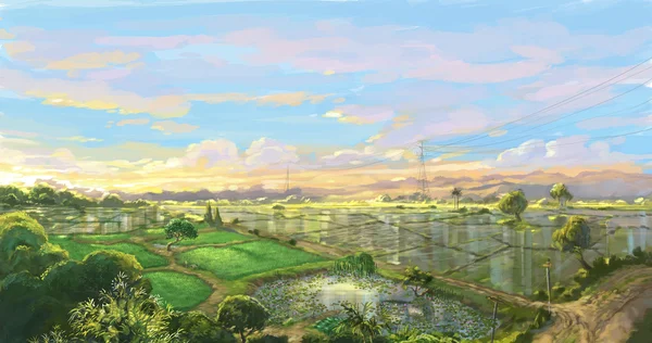 Sunset rice field dalam musim hujan Sketsa warna digital — Stok Foto